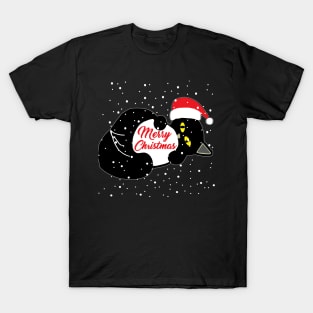 Christmas Kitten T-Shirt